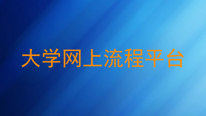 大学网上流程平台