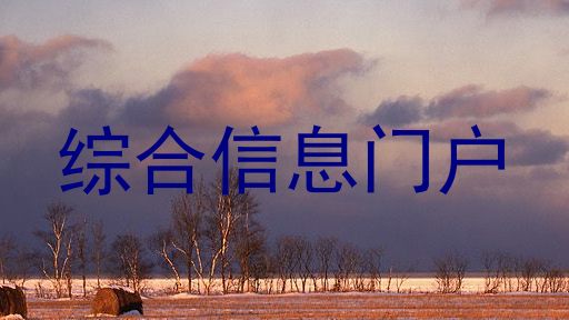 综合信息门户
