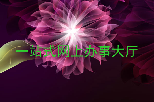 一站式网上办事大厅