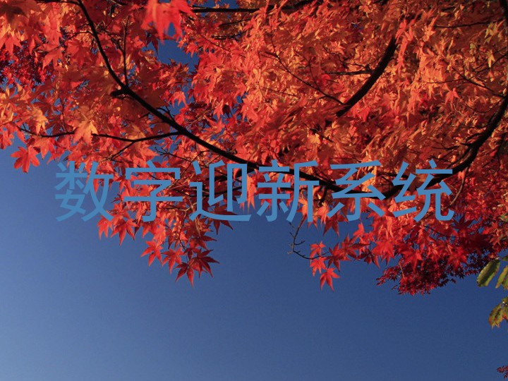 数字迎新系统