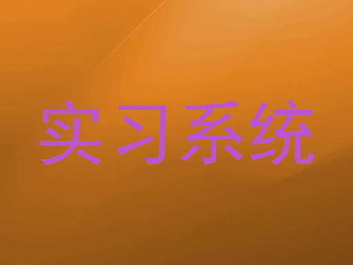 实习系统