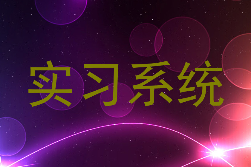 实习系统