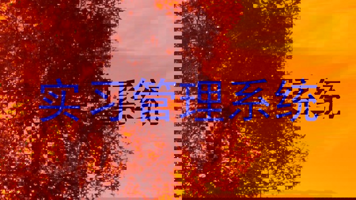 实习管理系统