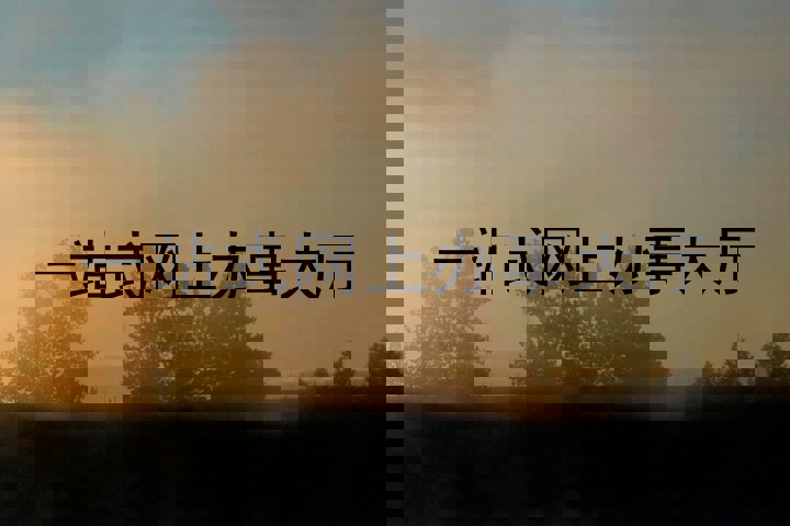 一站式网上办事大厅