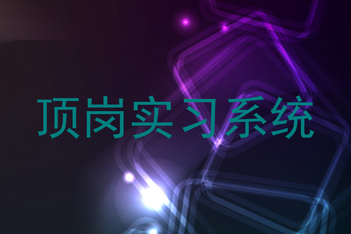 顶岗实习系统