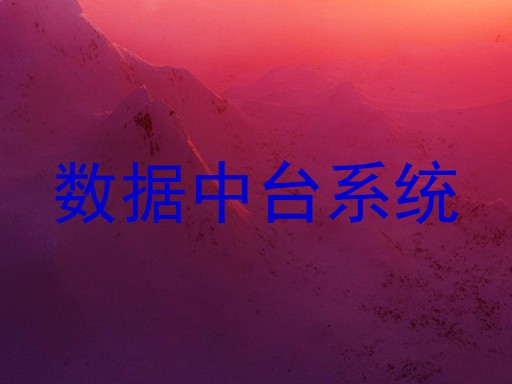 数据中台系统