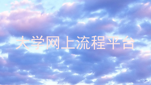 大学网上流程平台