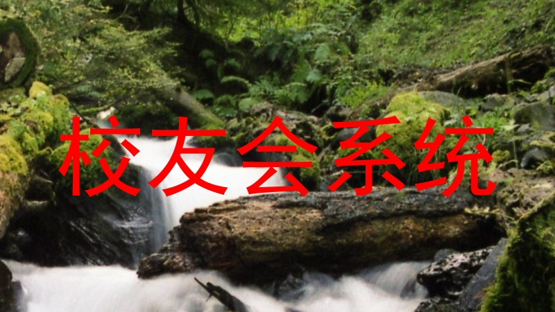 校友会系统