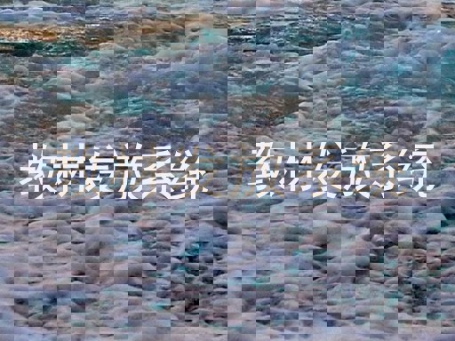 教材发放系统