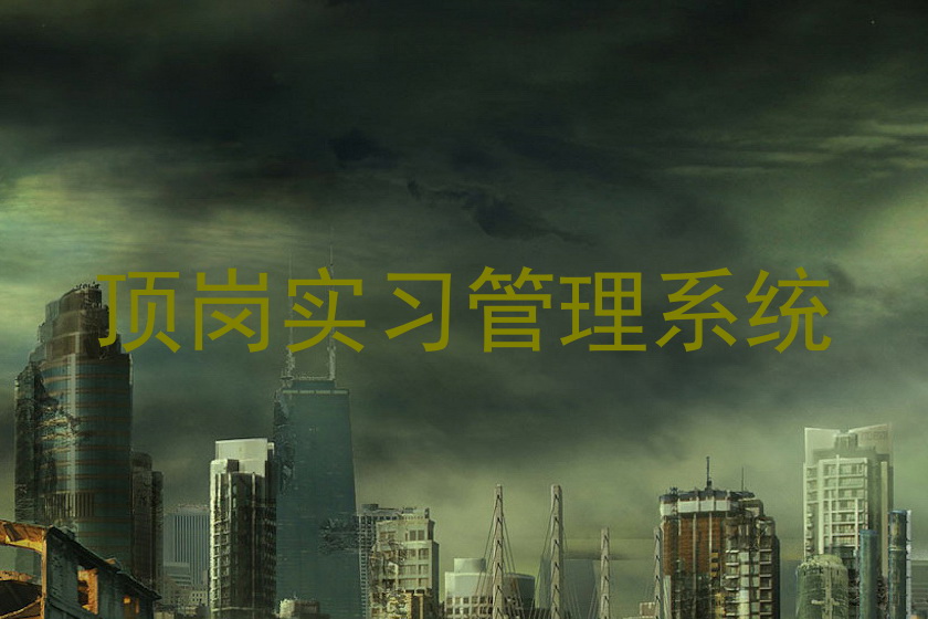 顶岗实习管理系统
