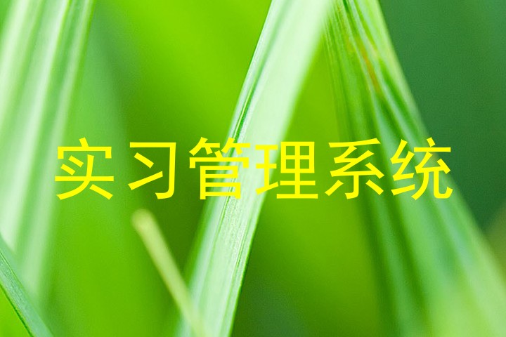 实习管理系统