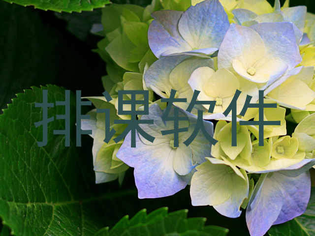 排课软件