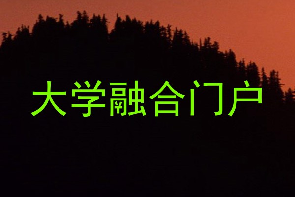 大学融合门户
