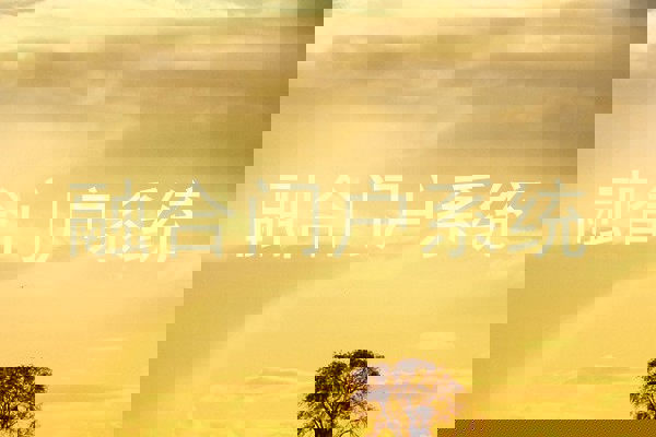 融合门户系统