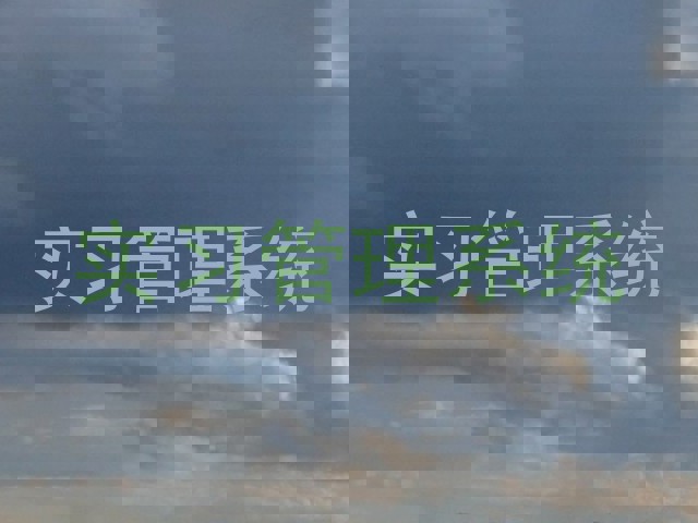实习管理系统