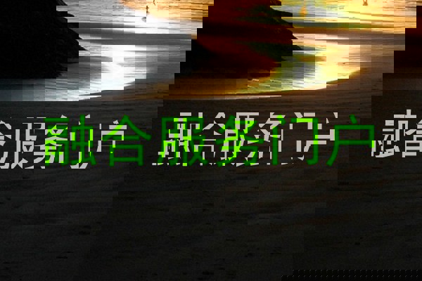 融合服务门户