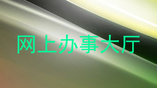网上办事大厅