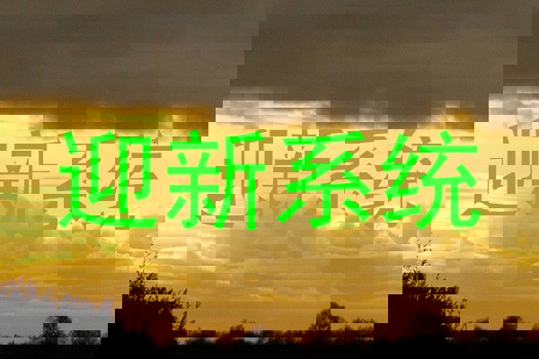 迎新系统