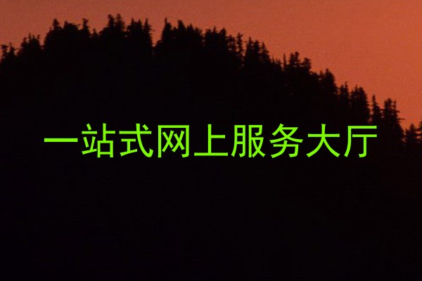 一站式网上服务大厅
