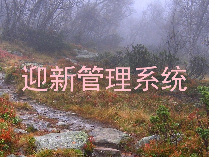 迎新管理系统