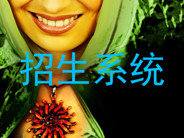 招生系统