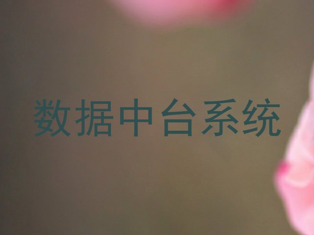 数据中台系统