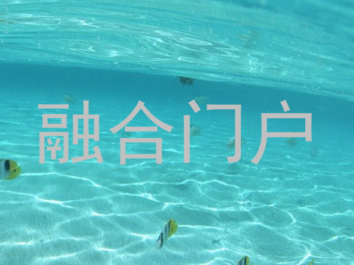 融合门户