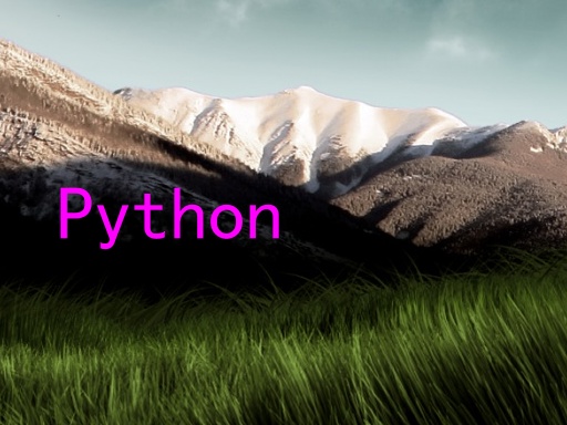 Python