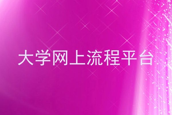 大学网上流程平台