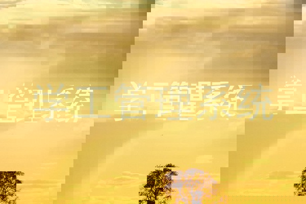 学工管理系统