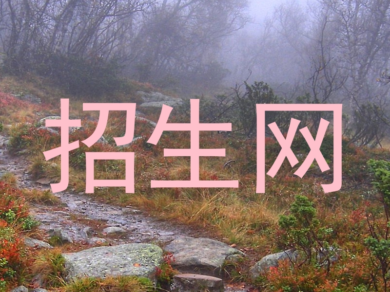 招生网