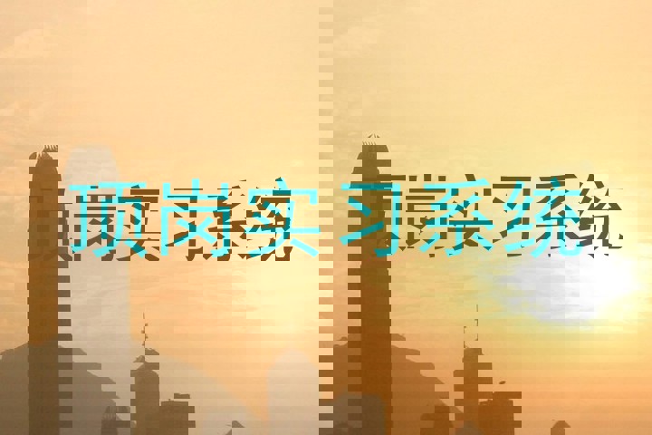 顶岗实习系统