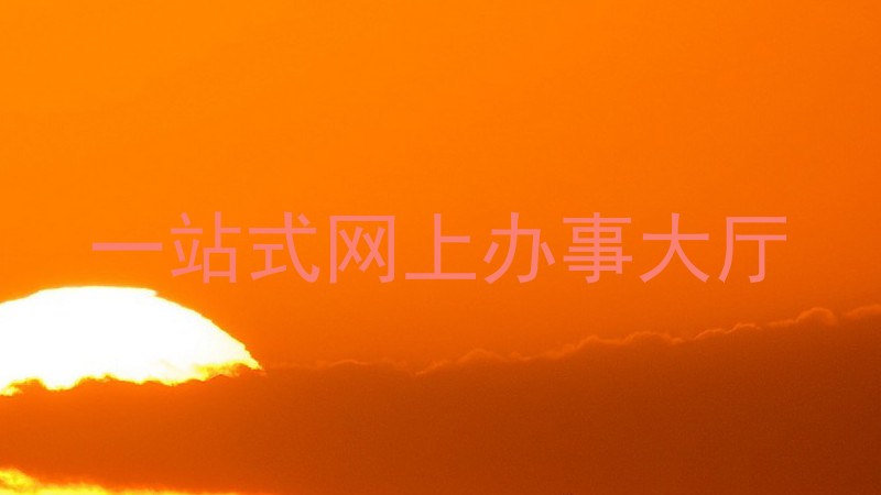 一站式网上办事大厅