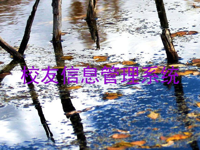 校友信息管理系统