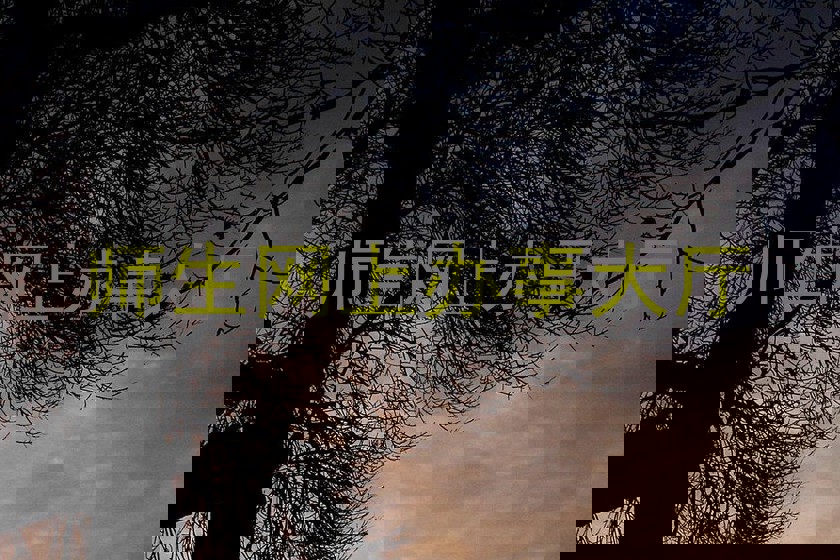 师生网上办事大厅