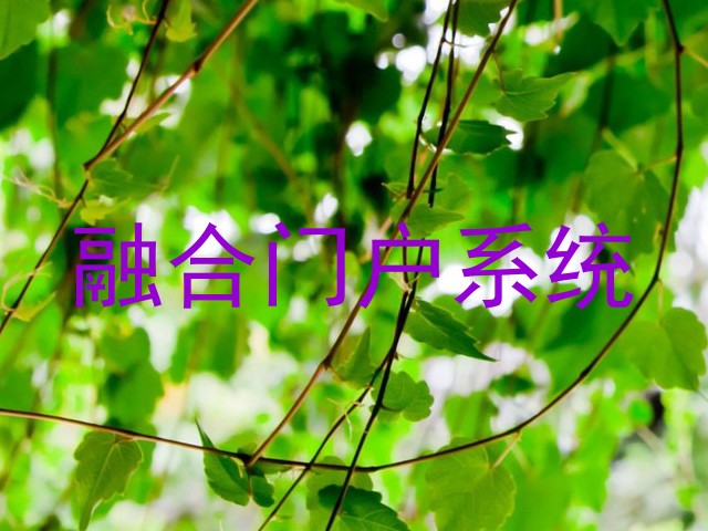 融合门户系统