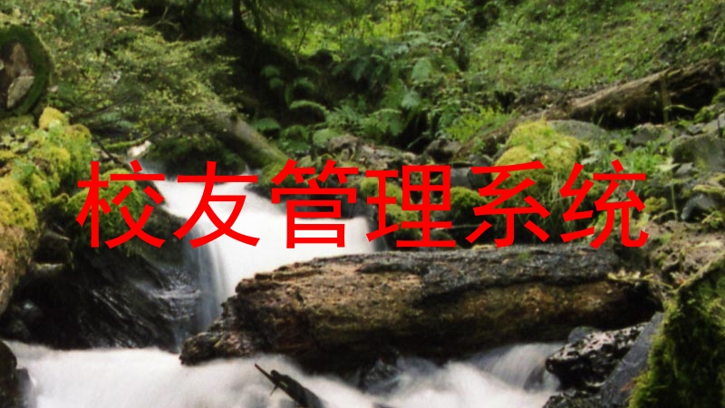 校友管理系统