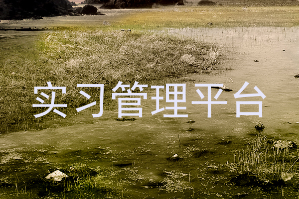 实习管理平台
