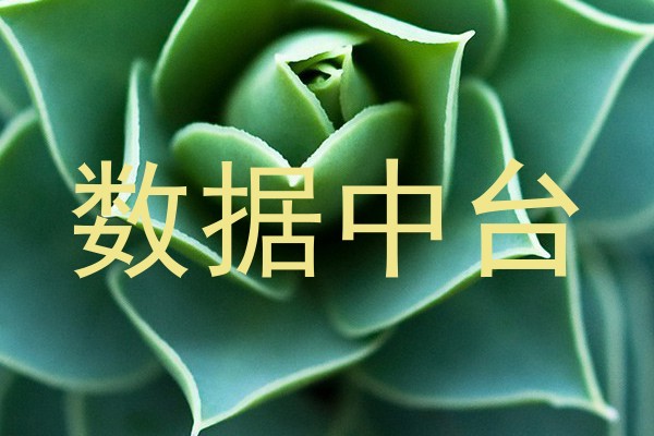 数据中台