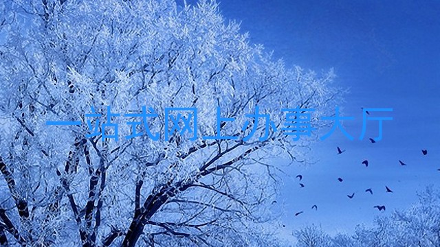 一站式网上办事大厅