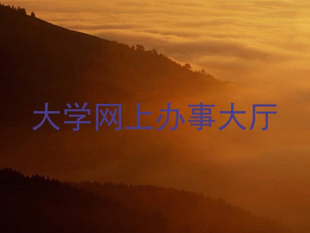 大学网上办事大厅