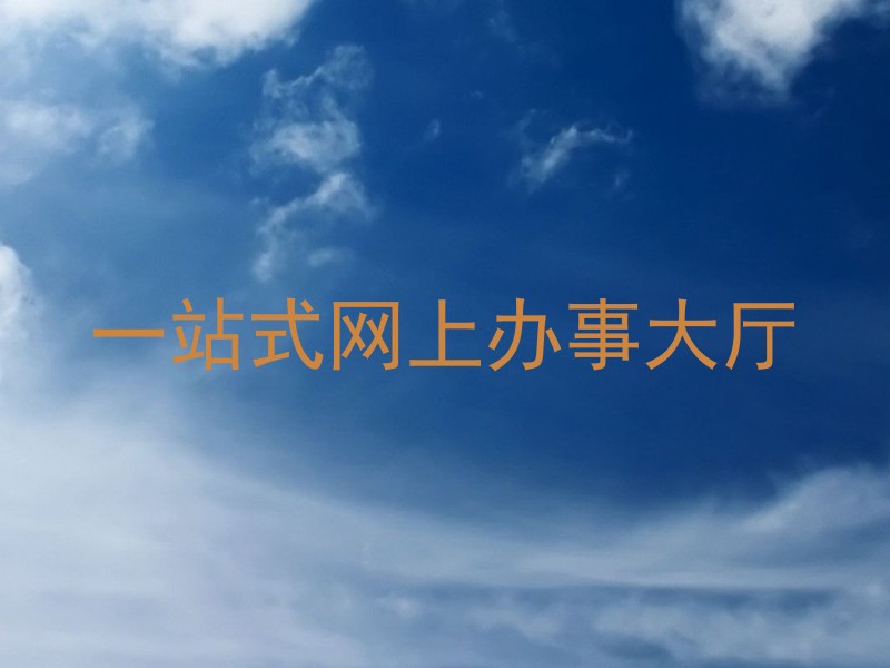 一站式网上办事大厅