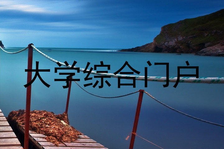 大学综合门户
