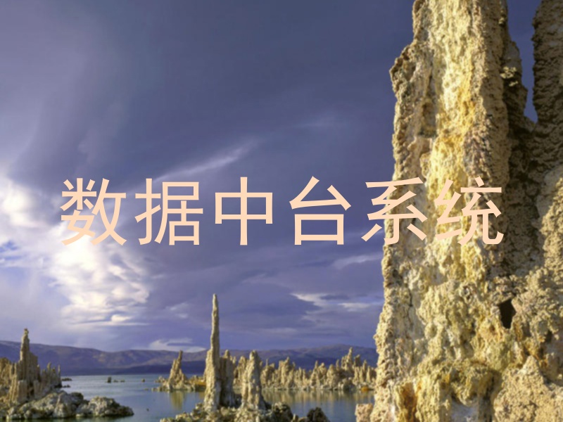 数据中台系统