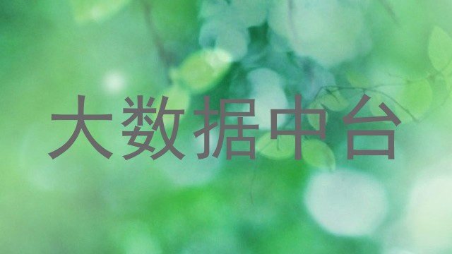 大数据中台