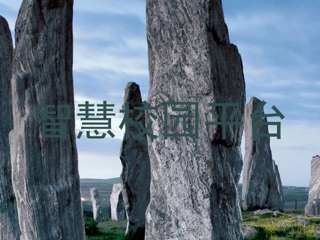 智慧校园平台