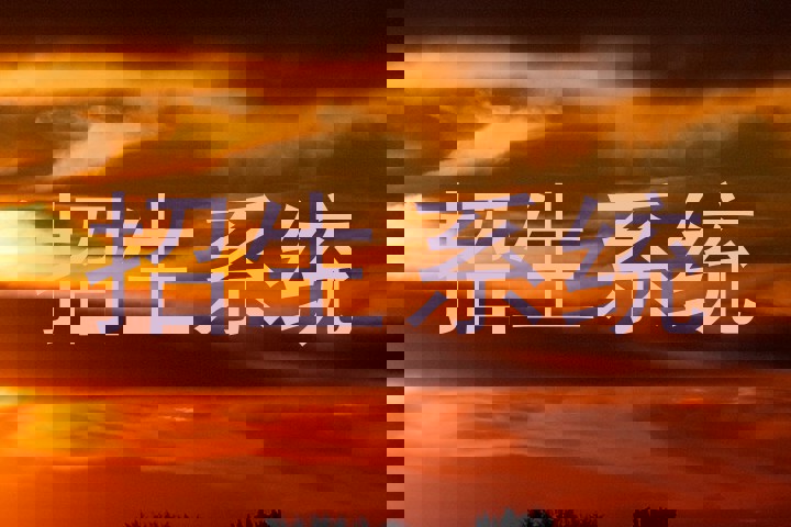 招生系统