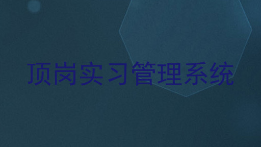 顶岗实习管理系统