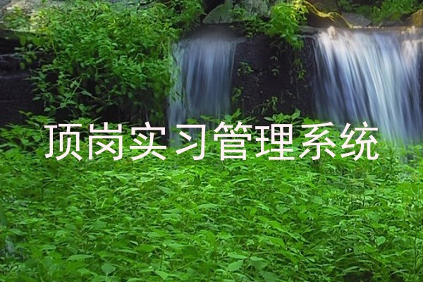 顶岗实习管理系统