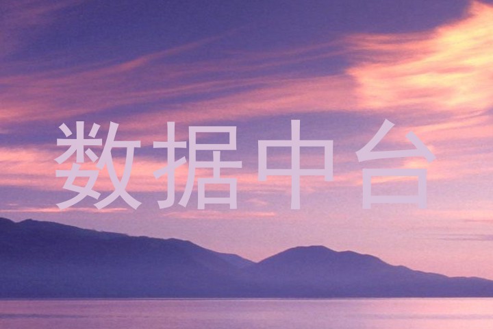 数据中台